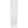 Дверь ERLIT MR 90/100ТP-C3 0611035305